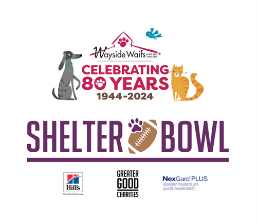Shelter Bowl Shelter Bowl
