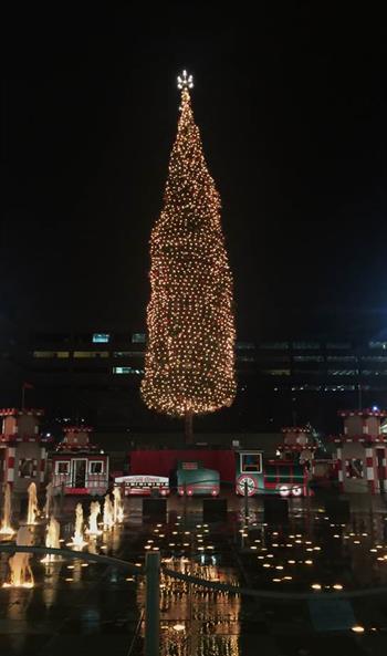 tree image tree image